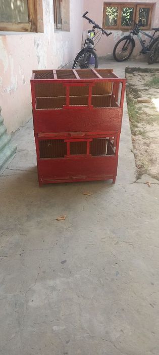 Кушлар учун кафас