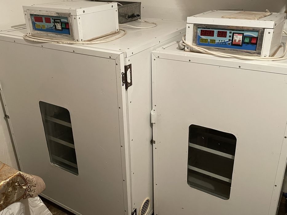 Vand incubatoarea de oua