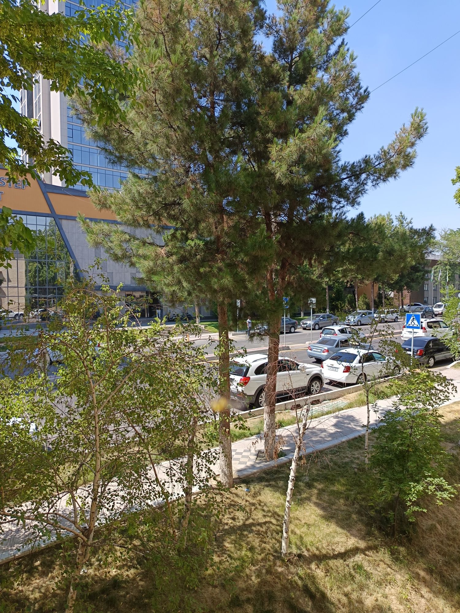 Академгородок (IT-Park), Олимлар. Срочно Продается своя 2-х ком