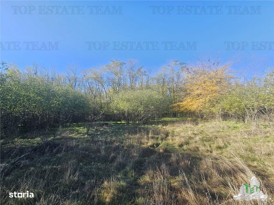 SUPER-PRET Teren 1ha intravilan intre A0, padure si raul Sabar