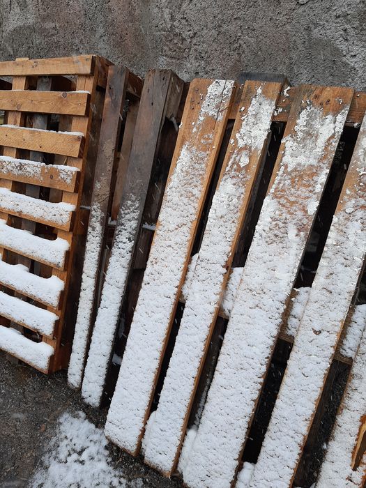 Поддоны 5 штук продам