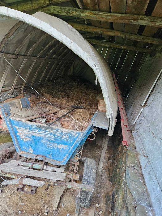 Vand trăsură (Coce)