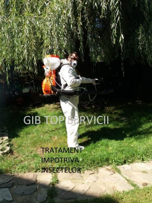 Servicii deratizare , dezinsectie , dezinfectie plosnite - gandaci