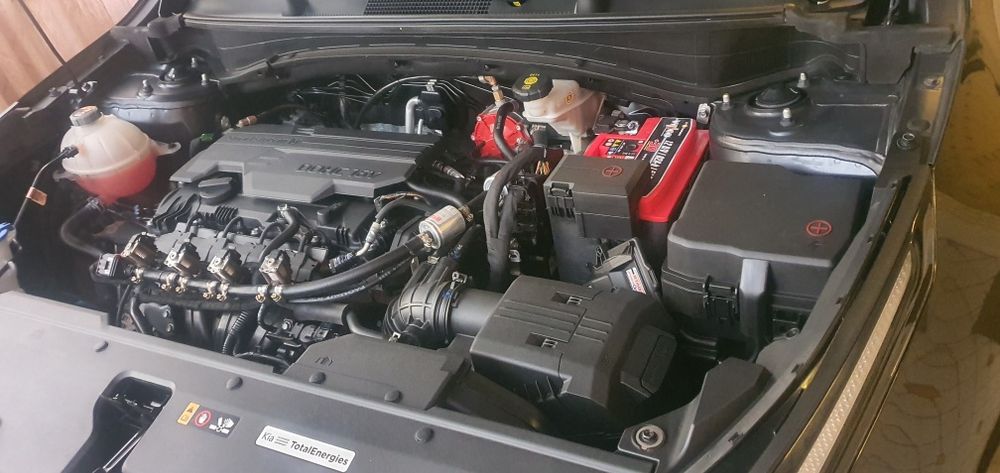 Панорама том, 2024 йил олинган спортейж