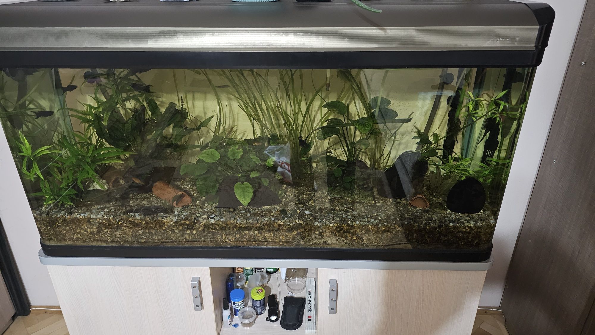 Acvariu 240 litri