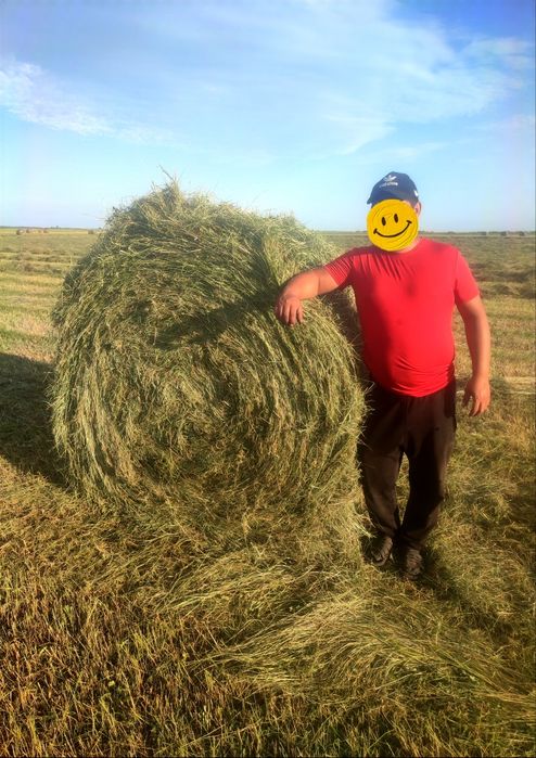 Продам сено в рулонах 300 кг