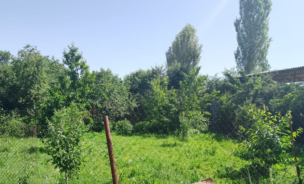 Toshkent v. Bostonlik tumanida 5xonoli dala xovli  uy joyi sotiladi