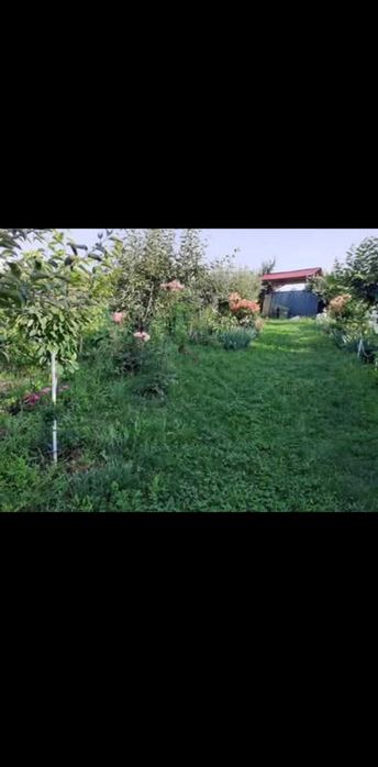 Vand/Schimb teren intravilan, Chicerea-Tomesti