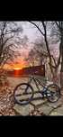 Bicicleta Rockrider AM 50s marime M