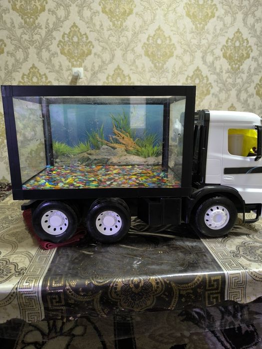 Аквариум сотилади