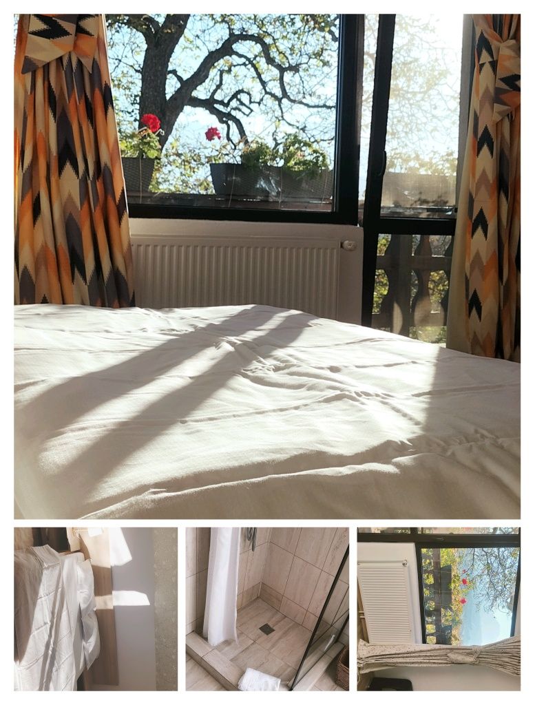 Cabana AMY Poiana Mărului jud Brasov