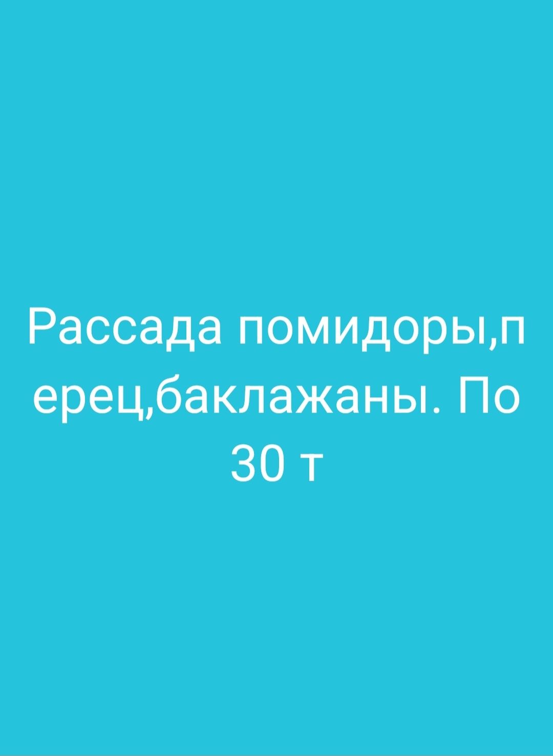 Продается рассада! Помидоры, баклажаны,  перцы! Цена 30 тг за куст