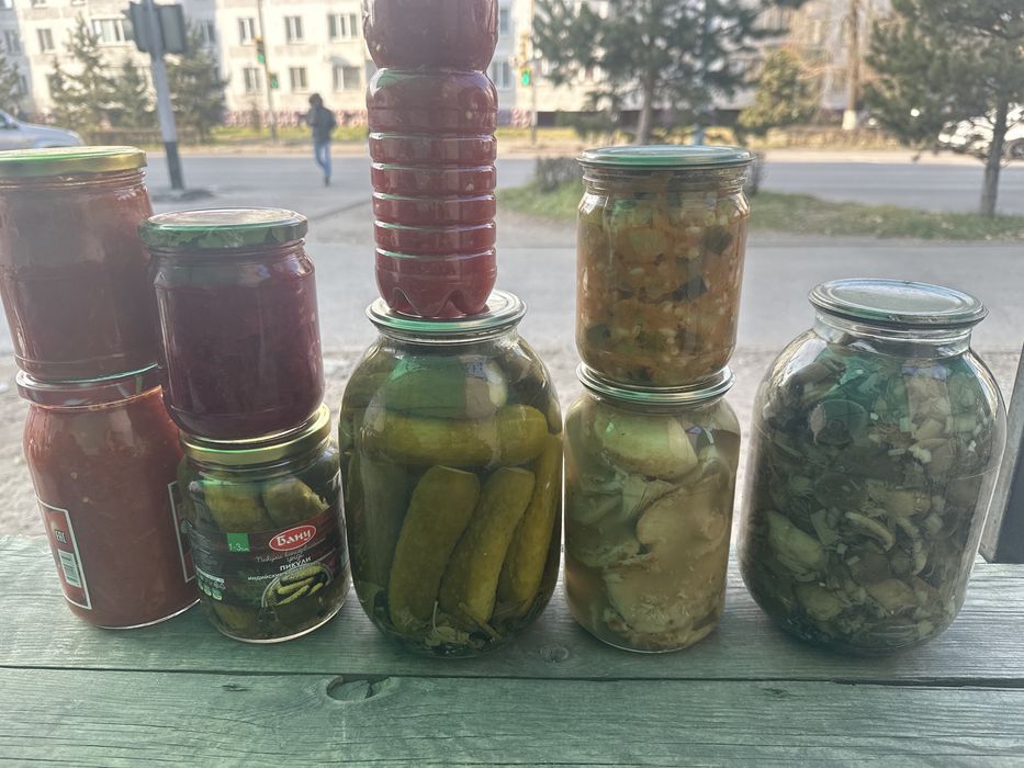 Грузди подберезовики грибы