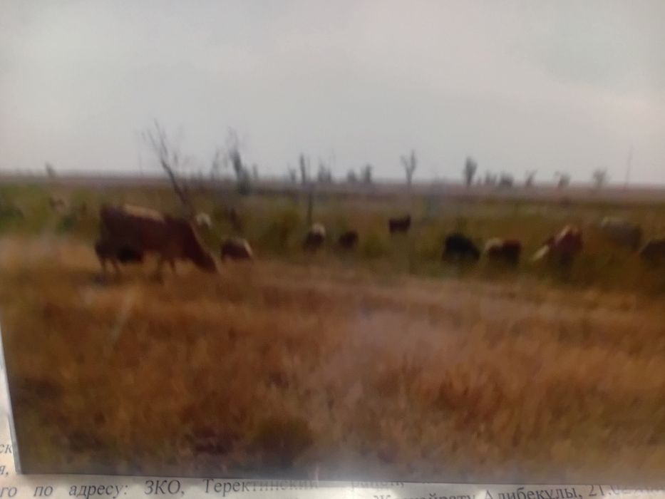 Кх продаётся  имеется  водоём