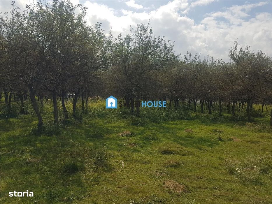 Teren de vanzare in Sambata de Sus