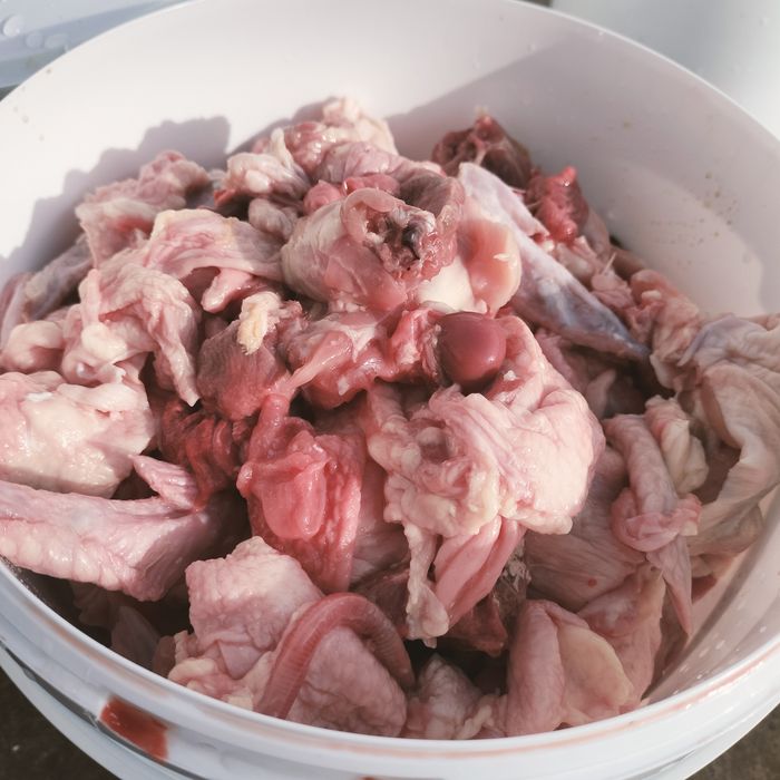 Косточки, колбаса, корма для собак и кошек