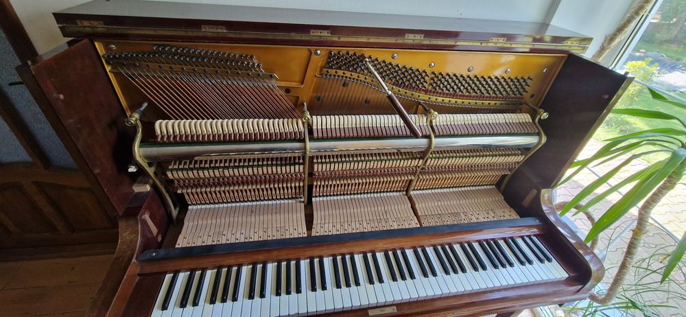 Servicii de acordaj/reconditionari pian/pianine