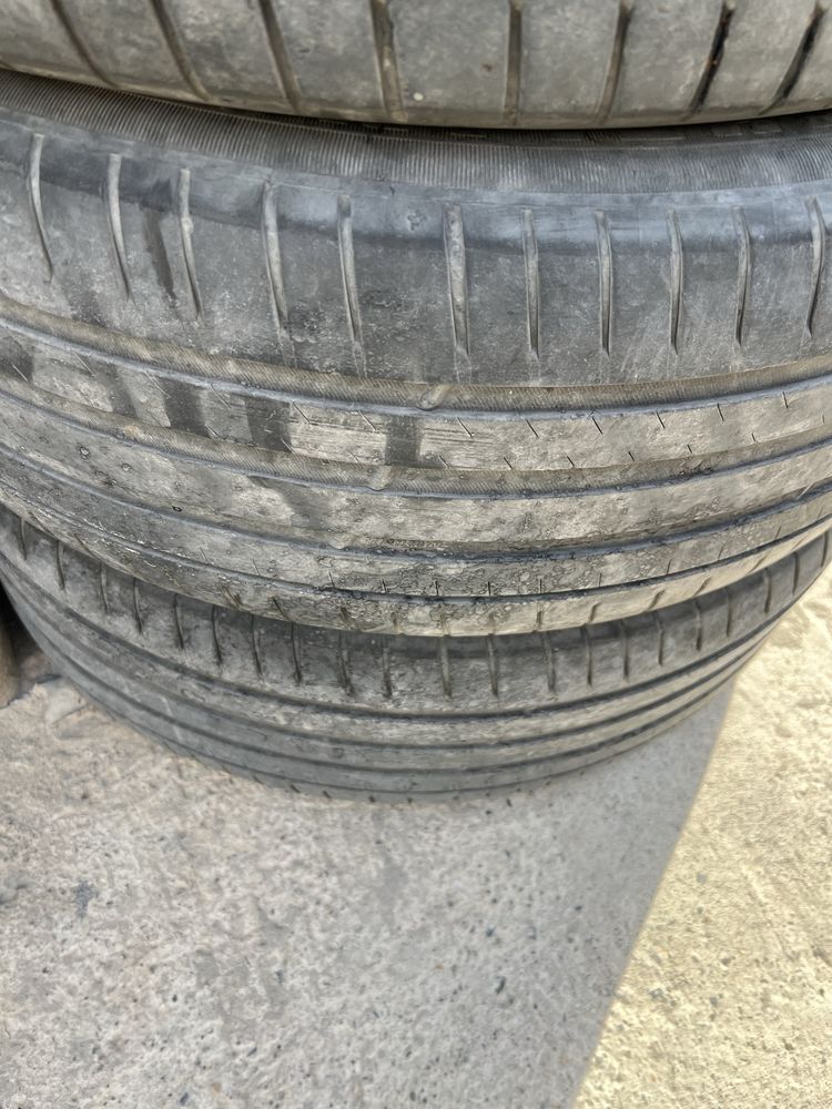 Шины Michelin Sport