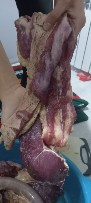 Соғымдар сатылады күйлері өте жақсы.