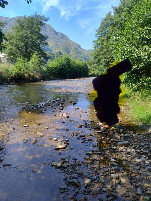 Proprietate ideala investitie(Open Air Blues Festival)-Brezoi(Valcea)