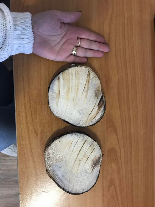 Rondele lemn pentru decorațiuni