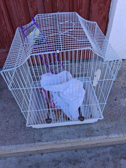 Colivie 412 folosită ,se vinde si nu trimit in țară