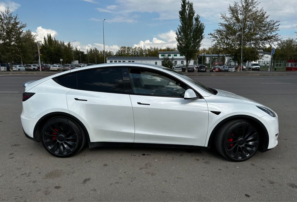 Tesla Model Y Performance