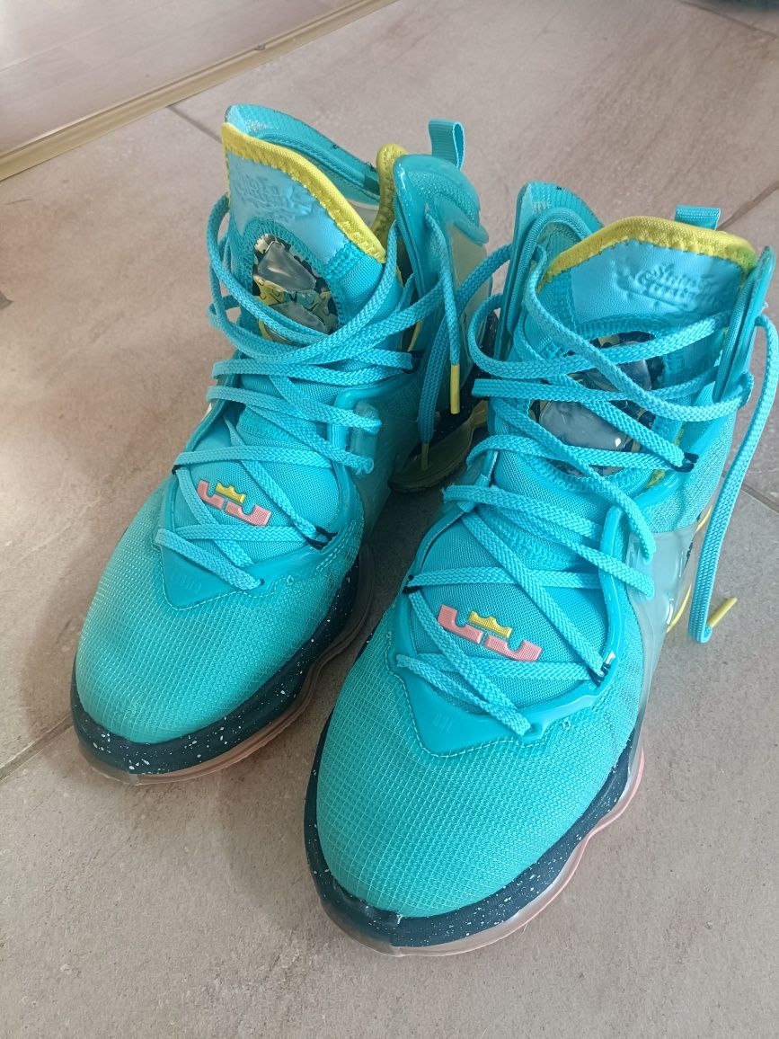 Vind Nike Lebron 19 in