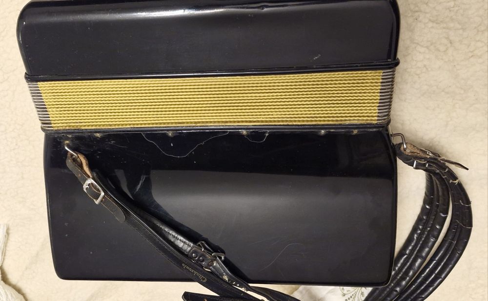 Vând acordeor Hohner Lucia IV P cu 96 basi