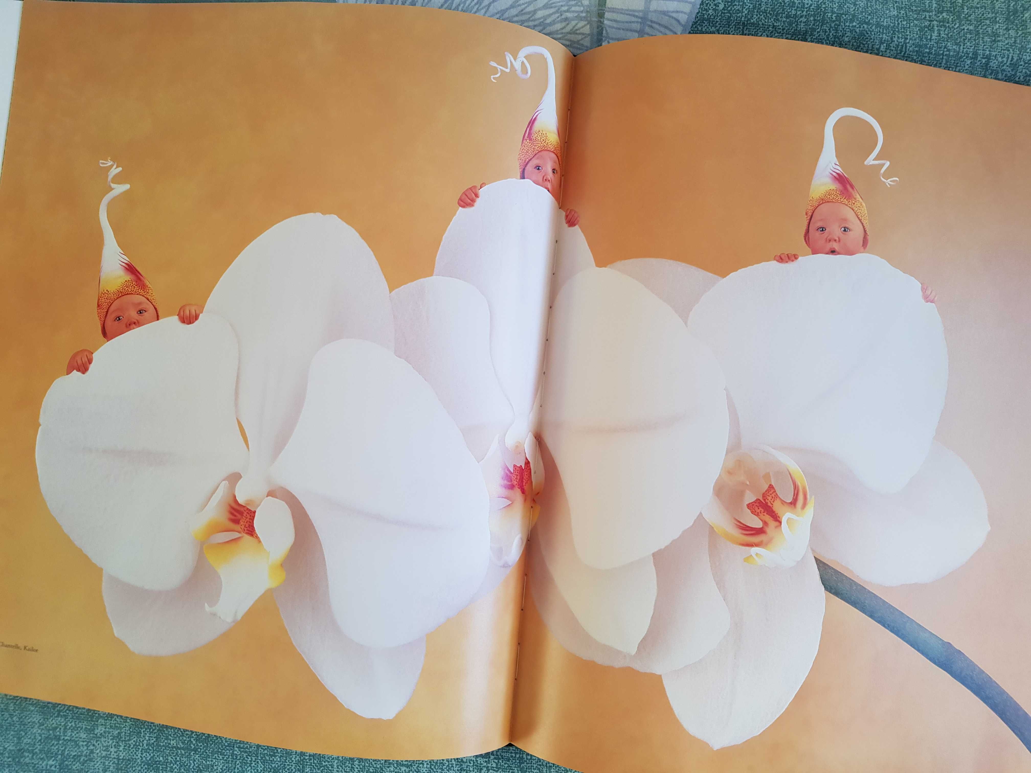 Album foto - Anne Geddes, Willkommen! - Hardcover