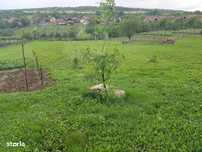 Teren intravilan in Henig