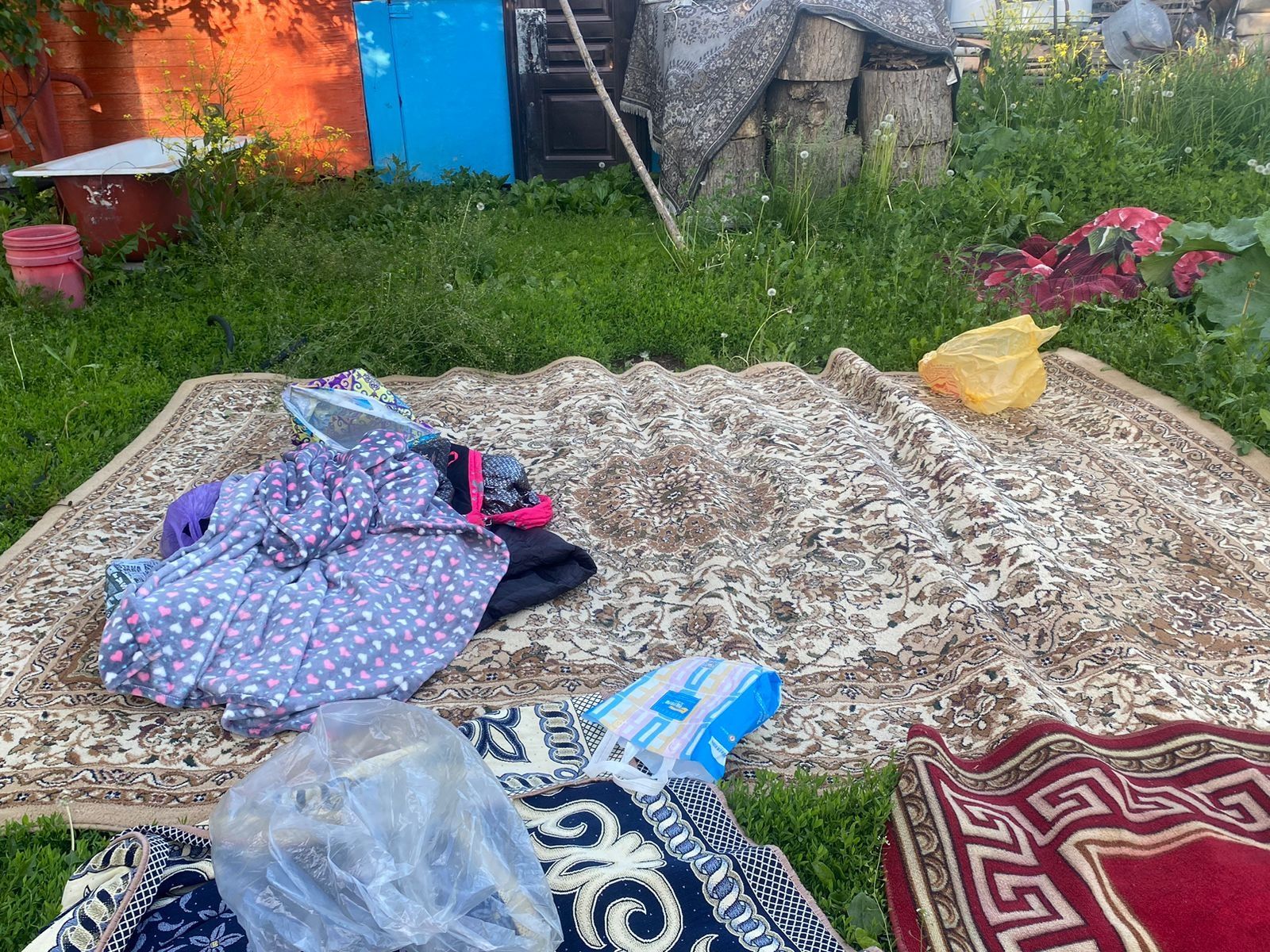 Холодильник и ковры продаю