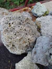 Roca filtranta,decor,acvarii,pietre poroase,crapi koi,carasi