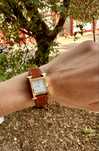 Ceas Hermes Heuer Original Gradina