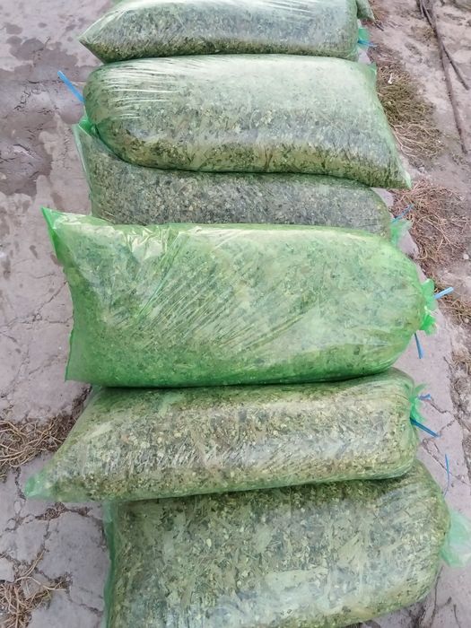 Qoplangan silos donli