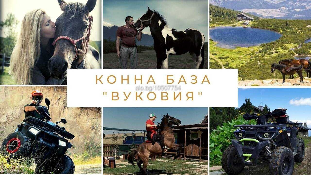 Уникално | Вечер под звездите до Банско с безброй забавления