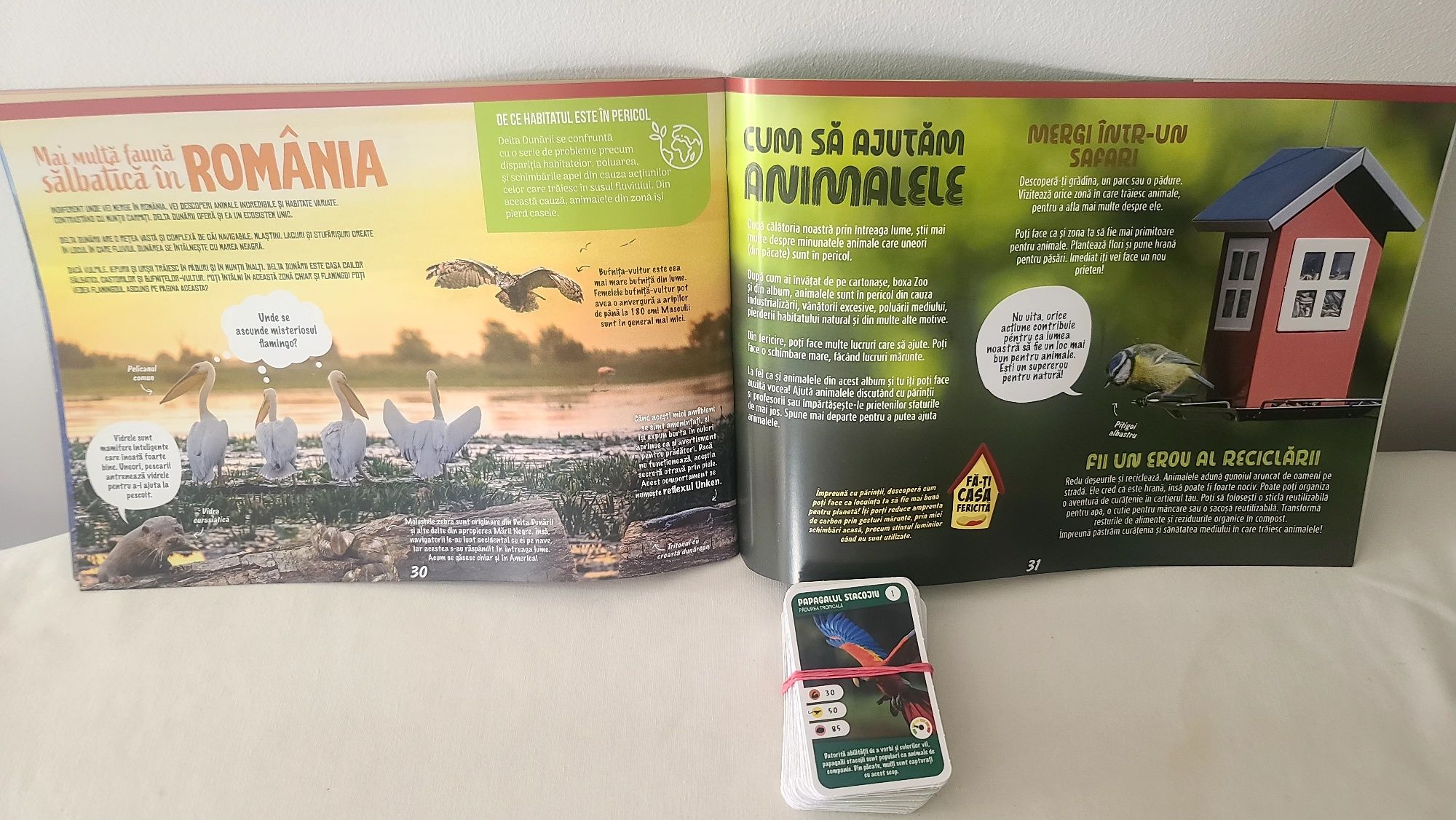 Album si set complet Expeditie in jurul lumii 1 Mega I