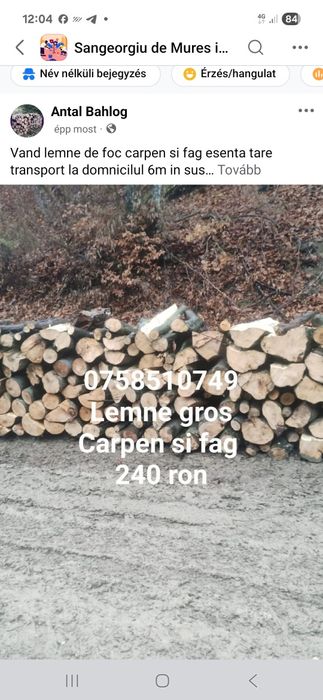 Vand lemne de foc carpen