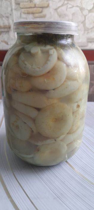 Продам Грузди 2л