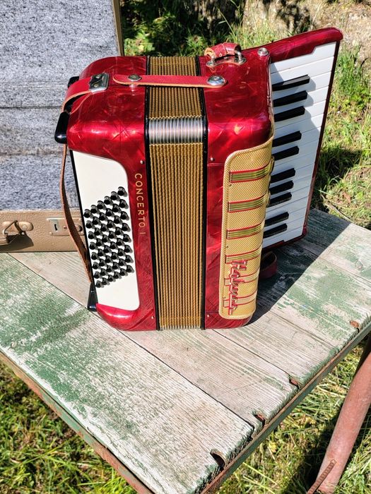 Acordeon 48 basi Hohner Concerto 1