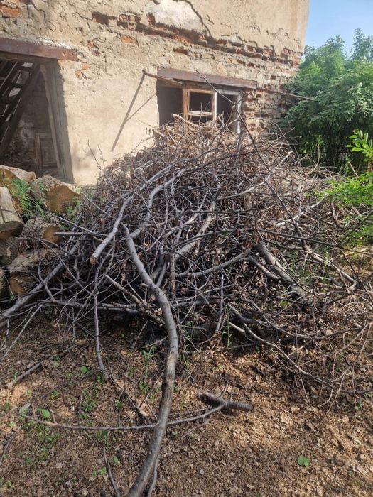 Дрова, ветки и бревна