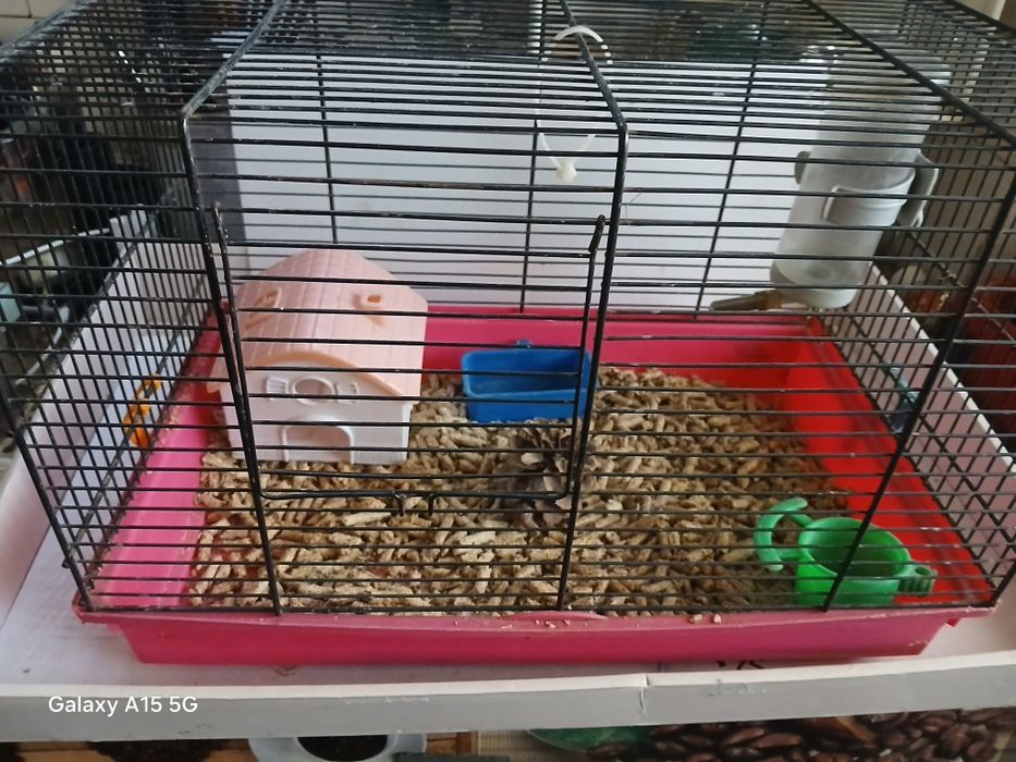 Colivie , cușca și accesorii in stare buna