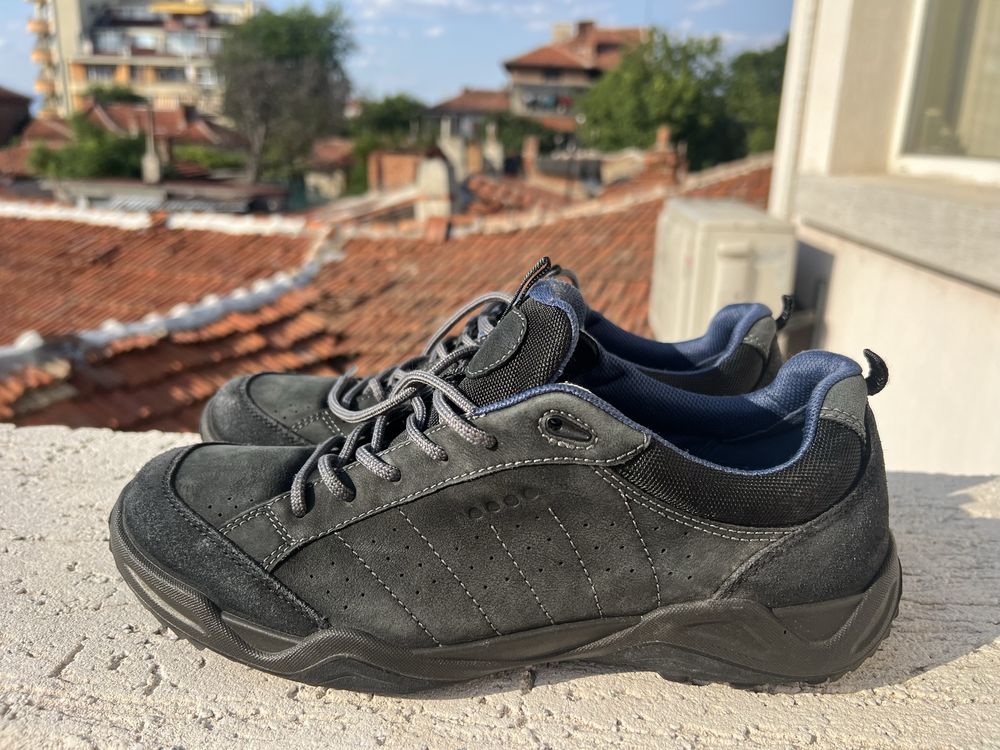 Ecco Receptor 43