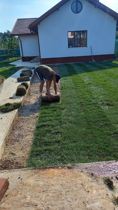 Piatra naturala de munte și Gazon rulou