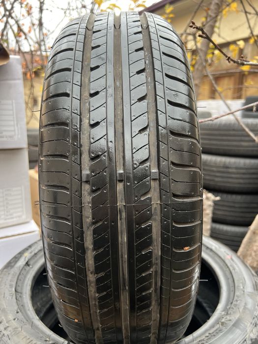 R16 Sigal Baloni yangi