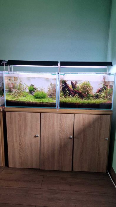 Аквариум Clear Vision - CO₂ система, Oase, Chihiros и шкаф – гаранция