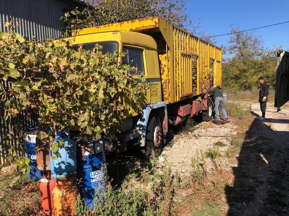 Colectam Fier Vechi, transport gratuit !