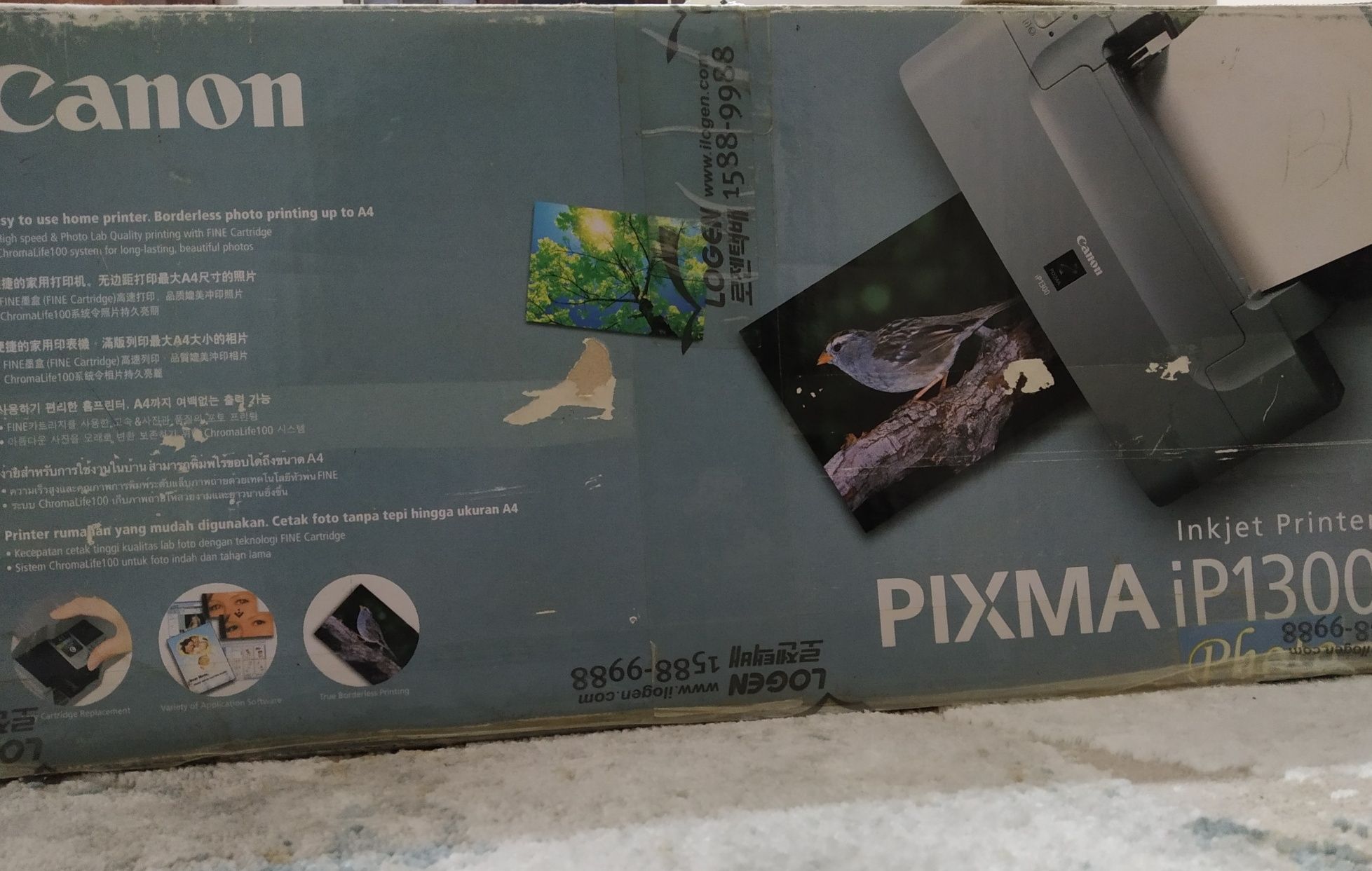 Printer Canon Pixma ip1300