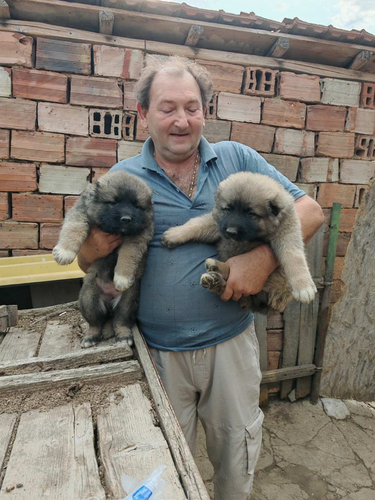 Продавам Кавказка Овчарка