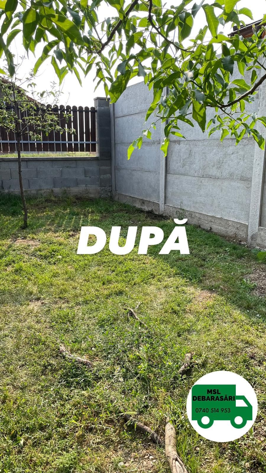 Debarasari profesionale